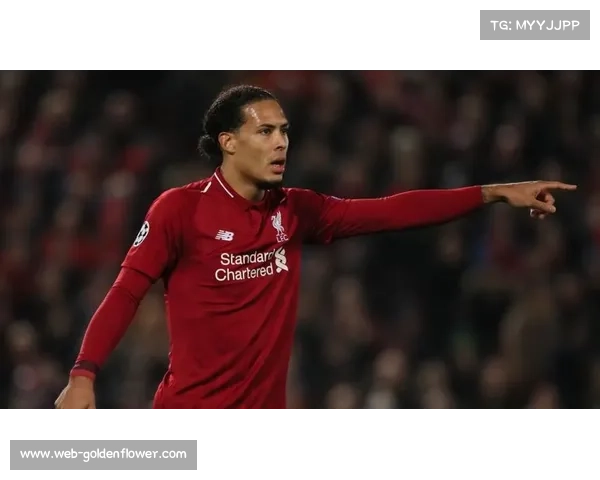 欧冠最佳阵容揭晓范戴克领衔入选明星阵容荣誉加冕