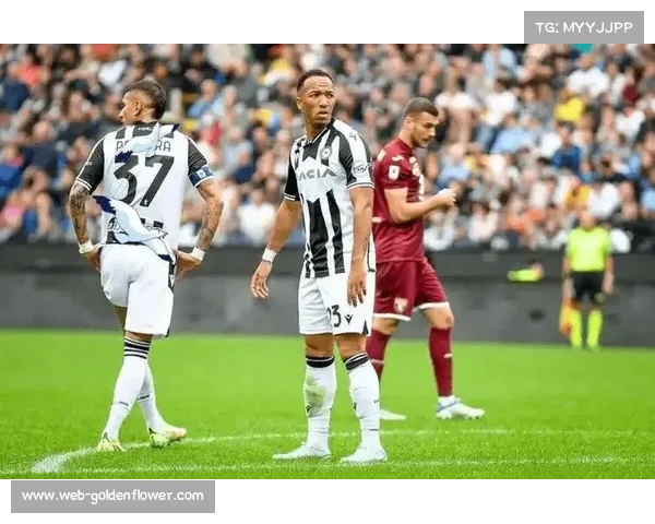 乌迪内斯主场失利，伤病潮影响持续